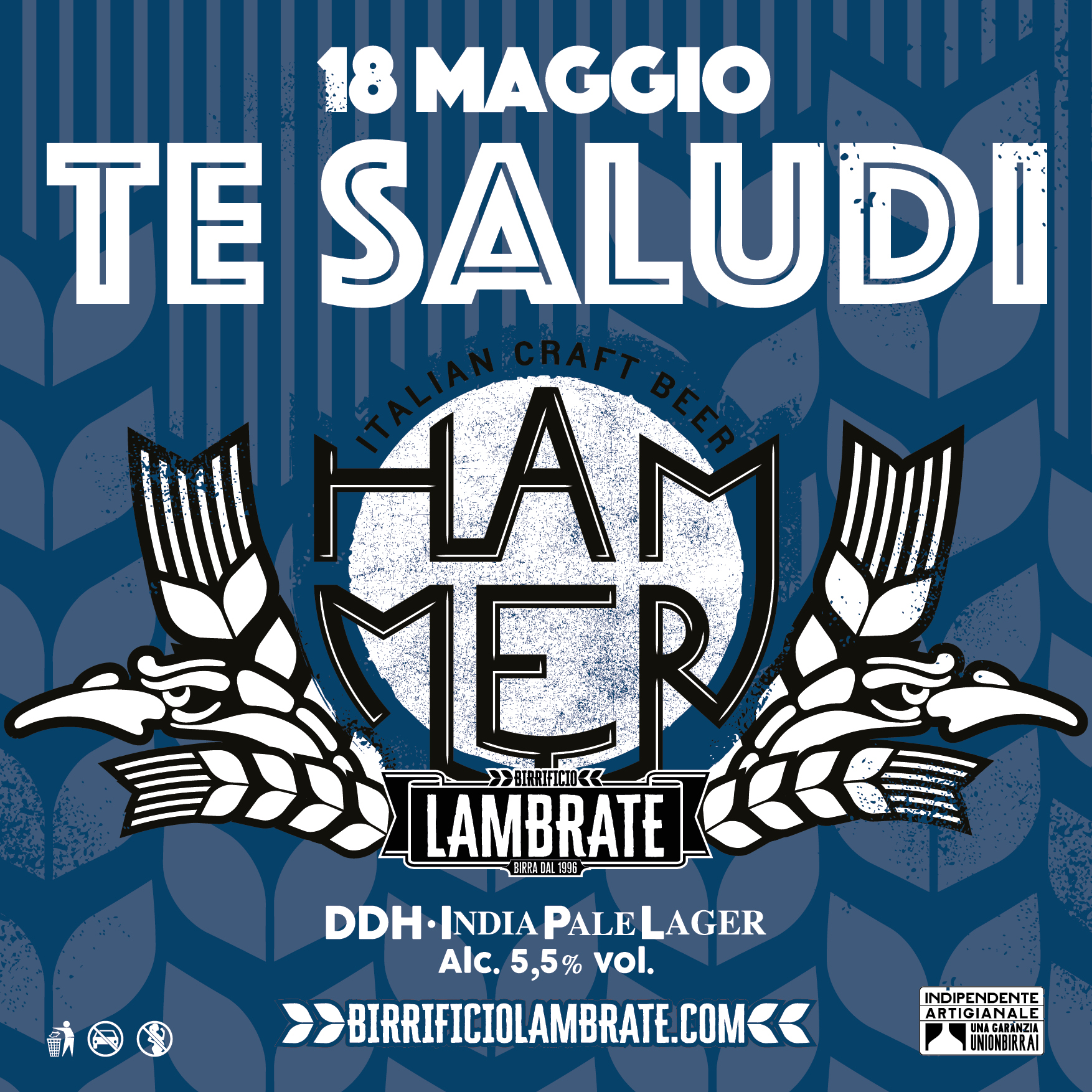 6 - TE SALUDI -hammer